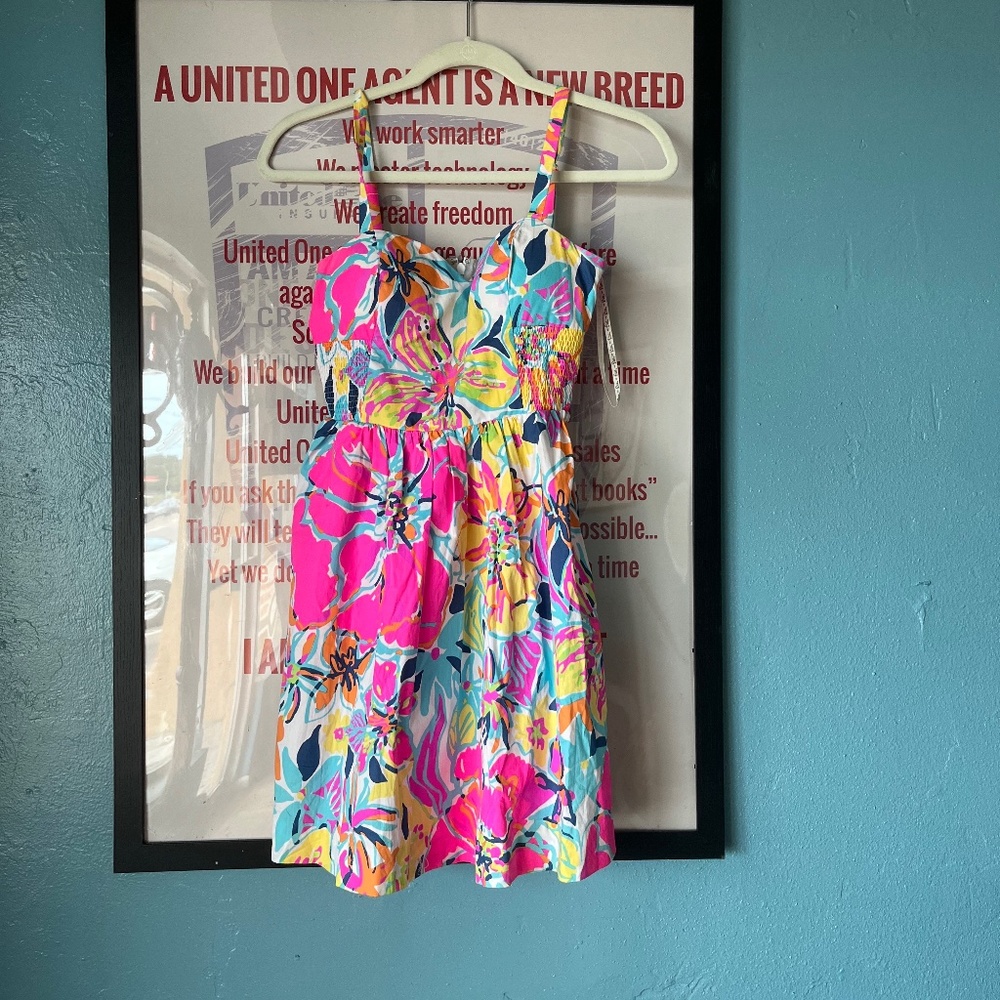 Lily Pultizer Bright Floral Dress